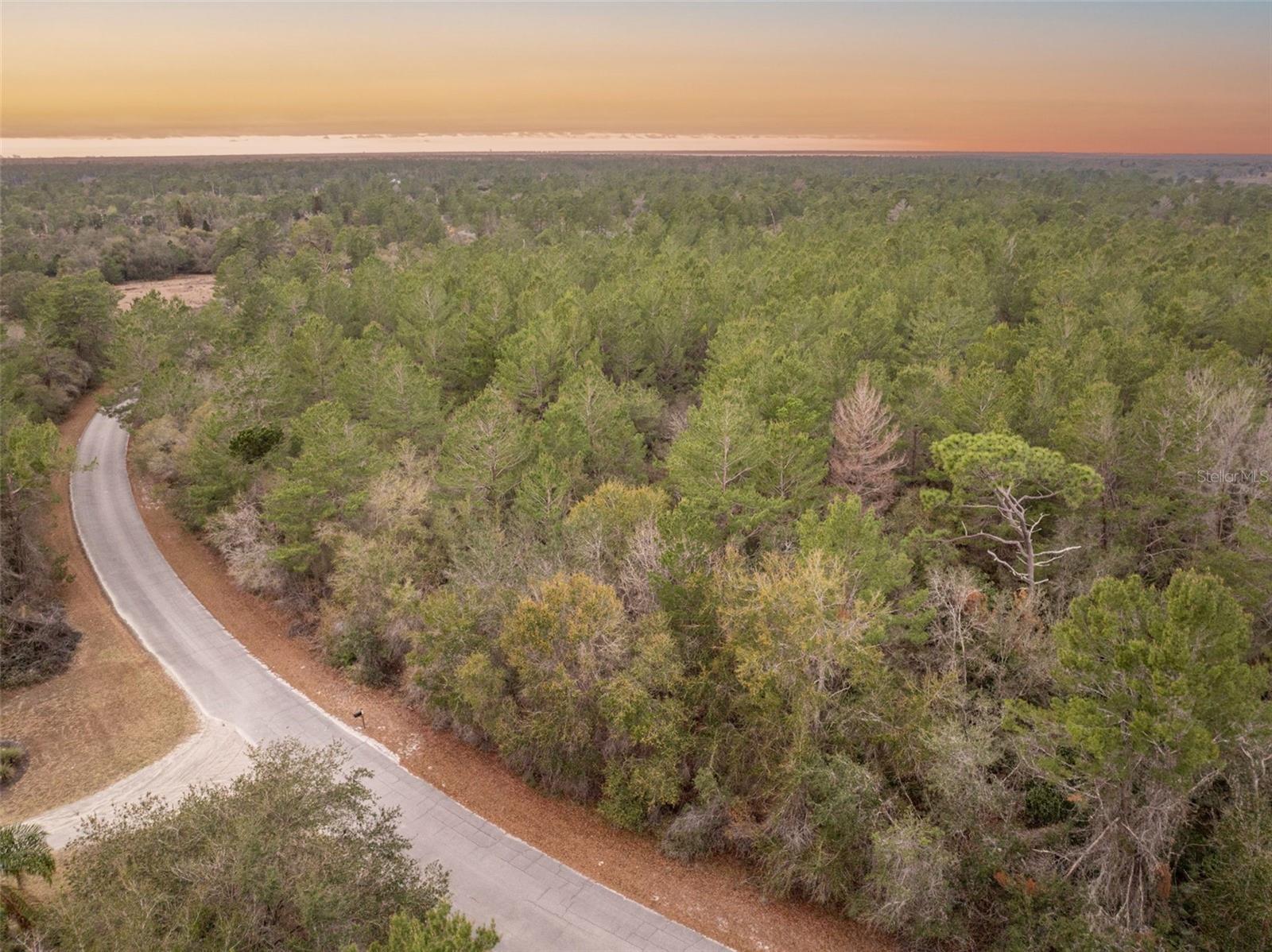 SEMINOLE WOODS 5 AC DEV - Land