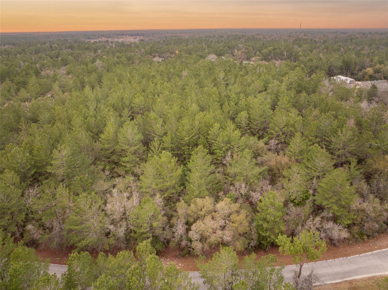 SEMINOLE WOODS 5 AC DEV - Land