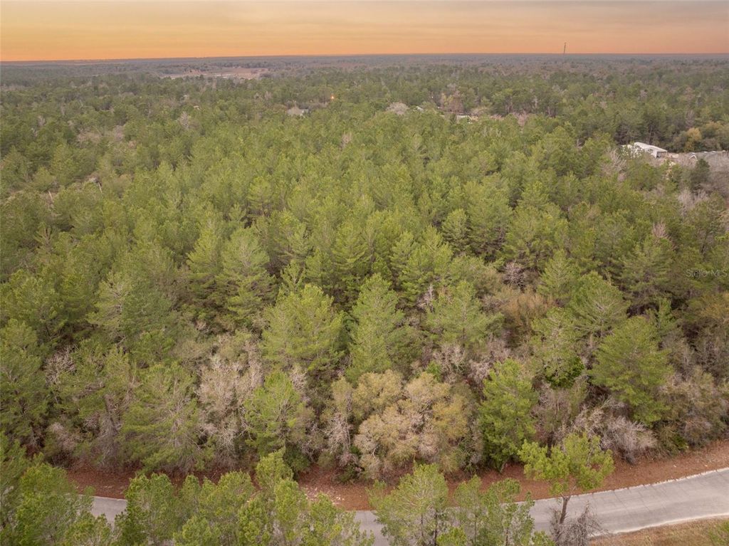 Photo of Seminole Woods Boulevard, Geneva, FL 32732 (MLS # O6383031)