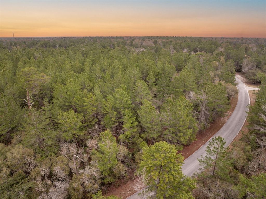 Photo of Seminole Woods Boulevard, Geneva, FL 32732 (MLS # O6383031)