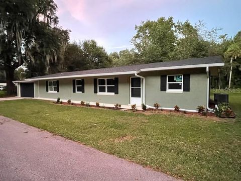 A home in LAKE PANASOFFKEE