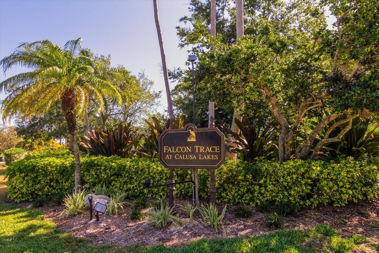 FALCON TRACE AT CALUSA LAKES - Residential