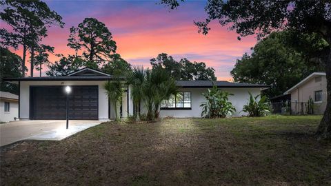 A home in PALM COAST