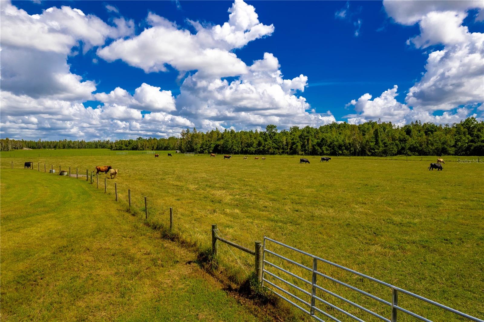 UNINCORP/SWFWMD - Farm