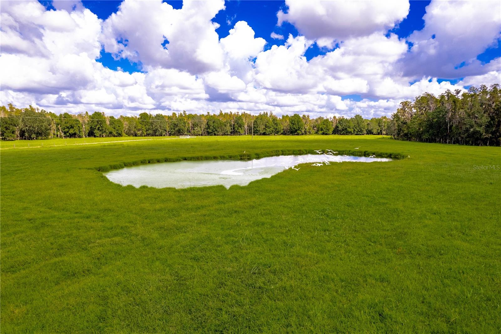 UNINCORP/SWFWMD - Farm