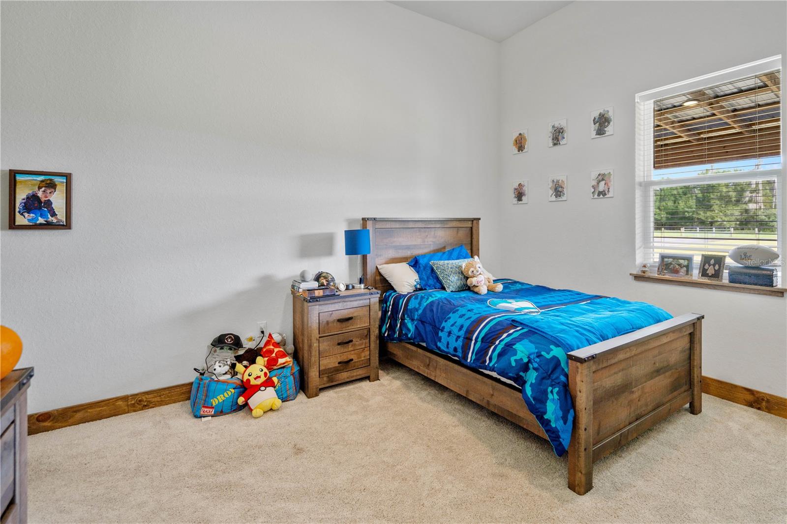 UNINCORP/SWFWMD - Farm