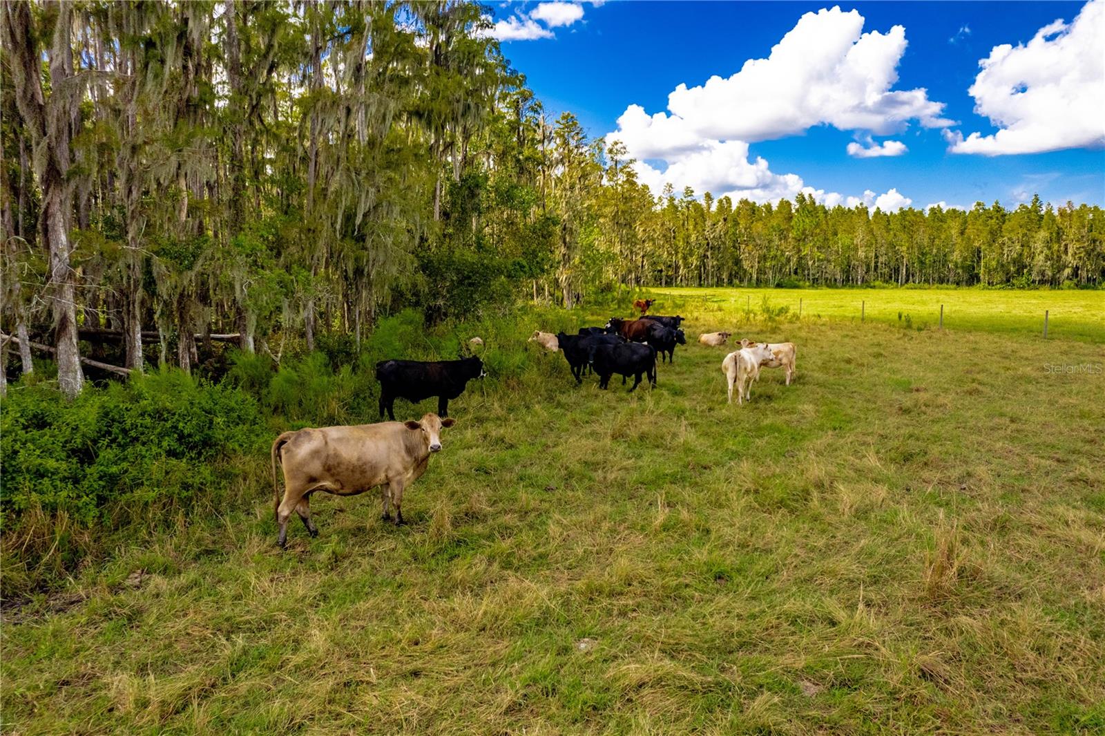 UNINCORP/SWFWMD - Farm