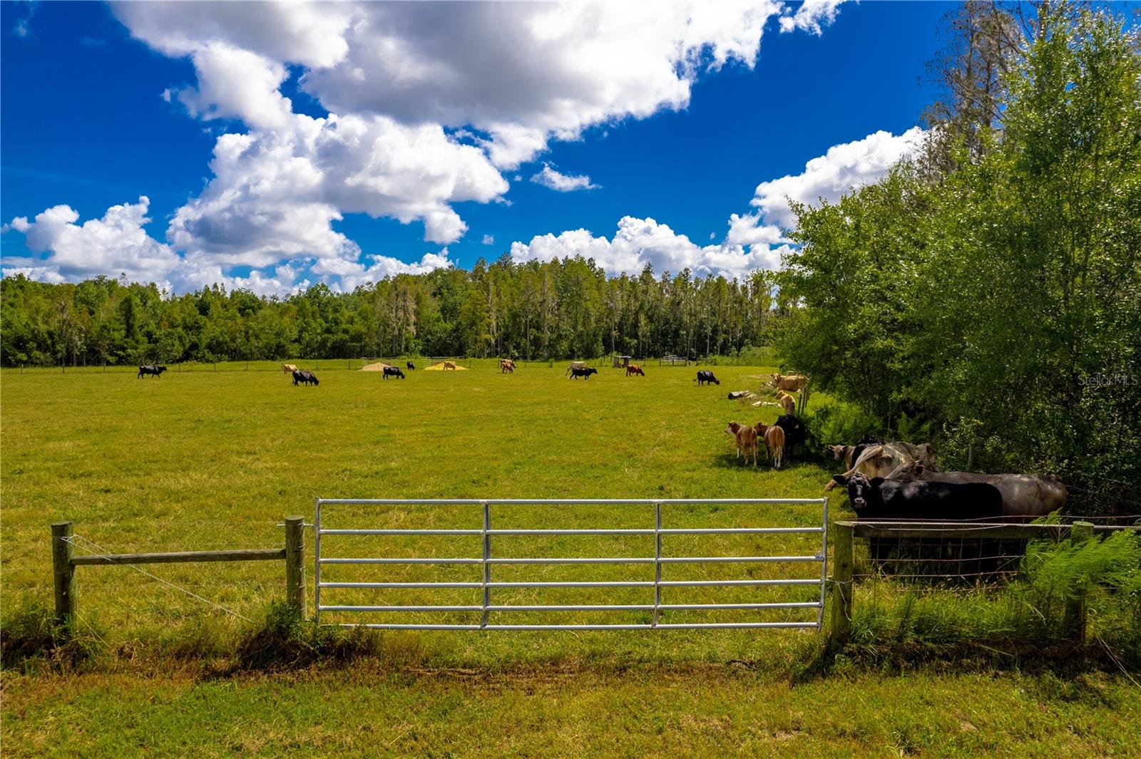 UNINCORP/SWFWMD - Farm