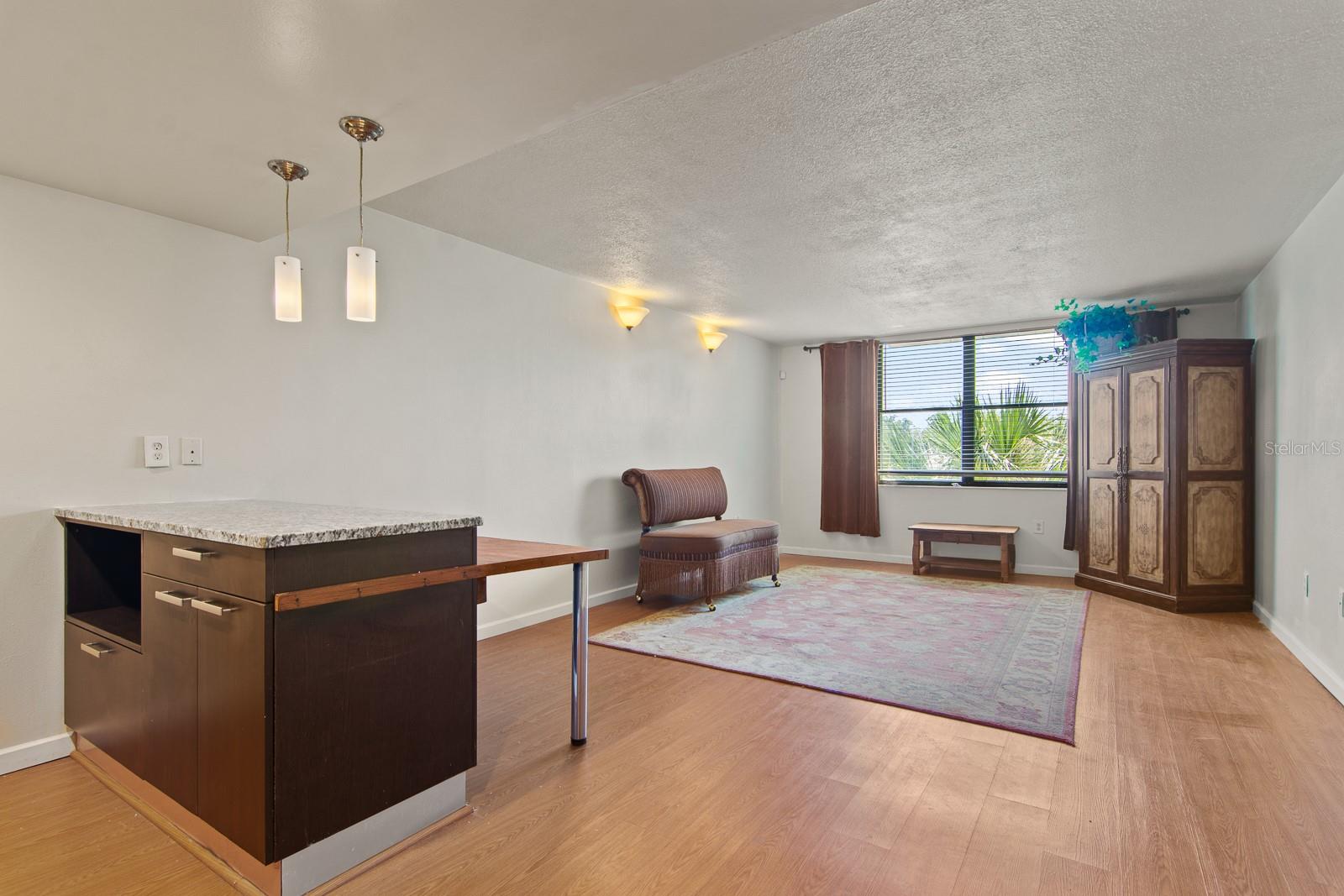 701 S MADISON AVENUE 317