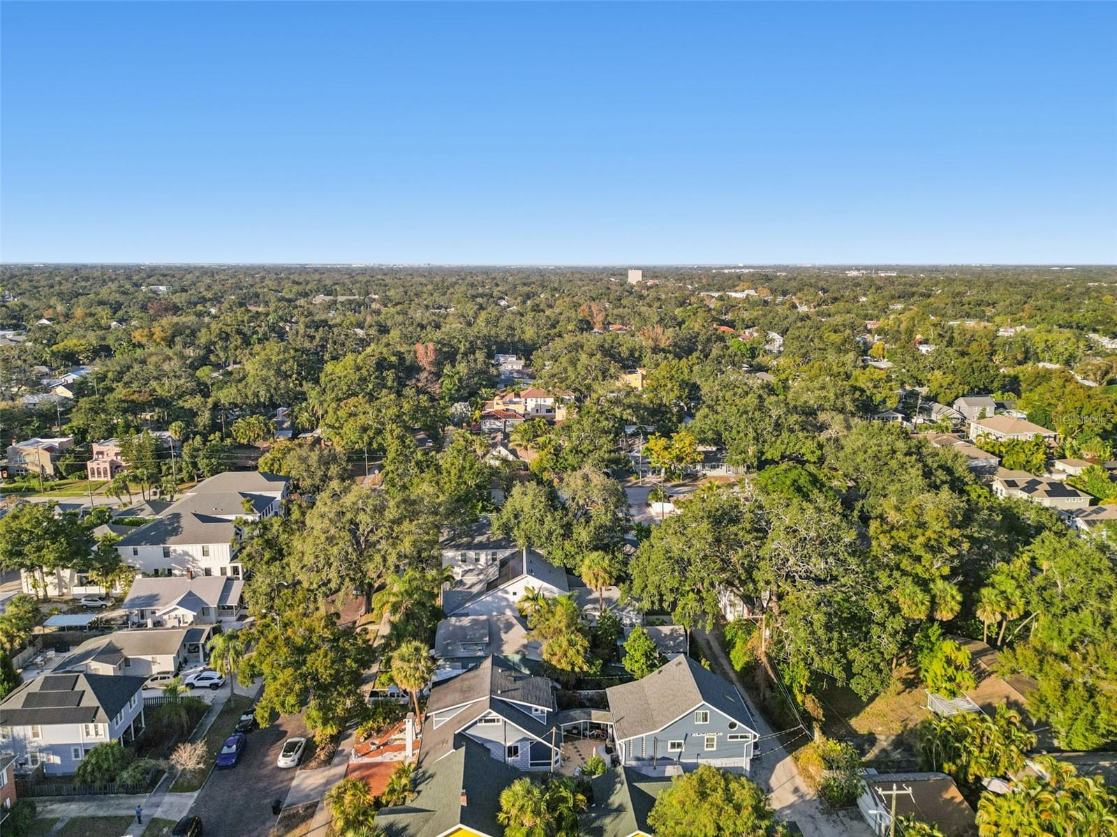 HODGSON - Residential Income