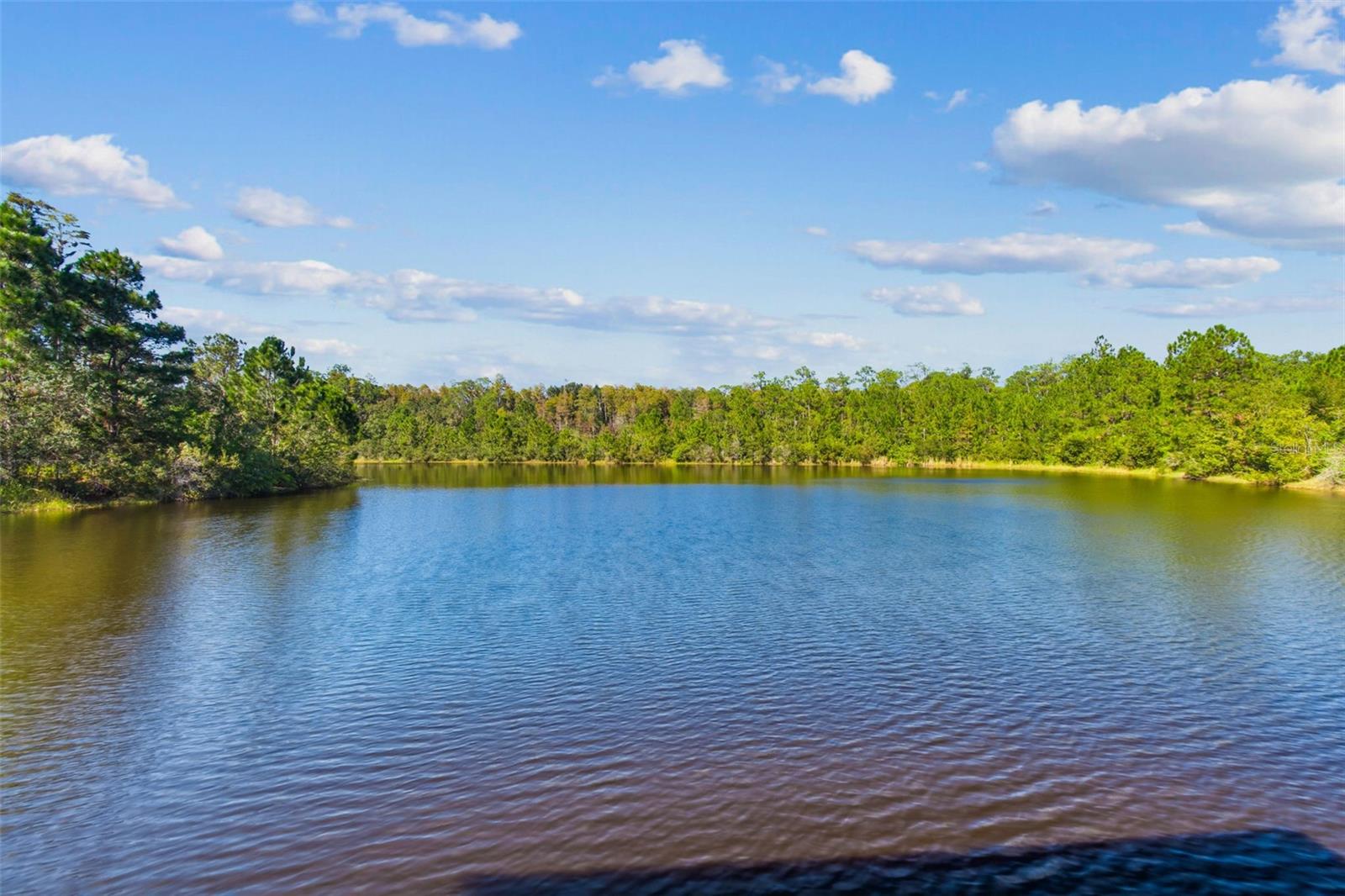 LAKESHORE RANCH PH I - Residential
