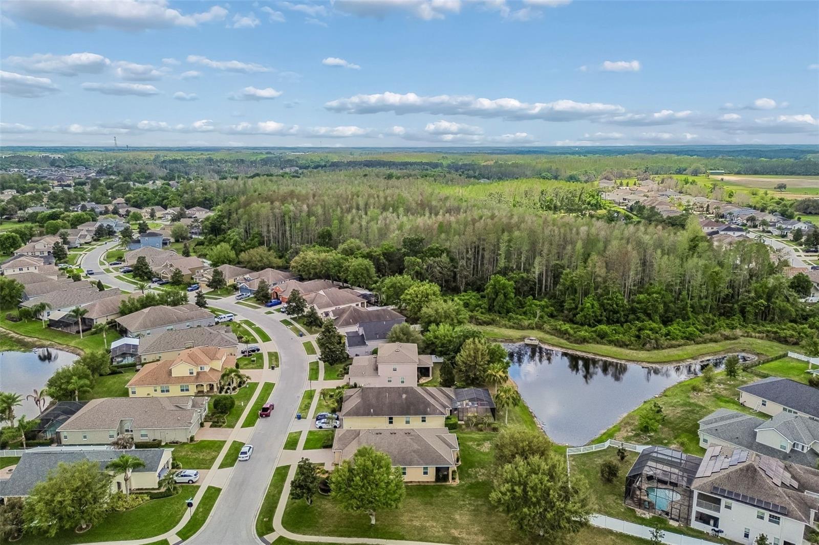 LAKESHORE RANCH PH I - Residential