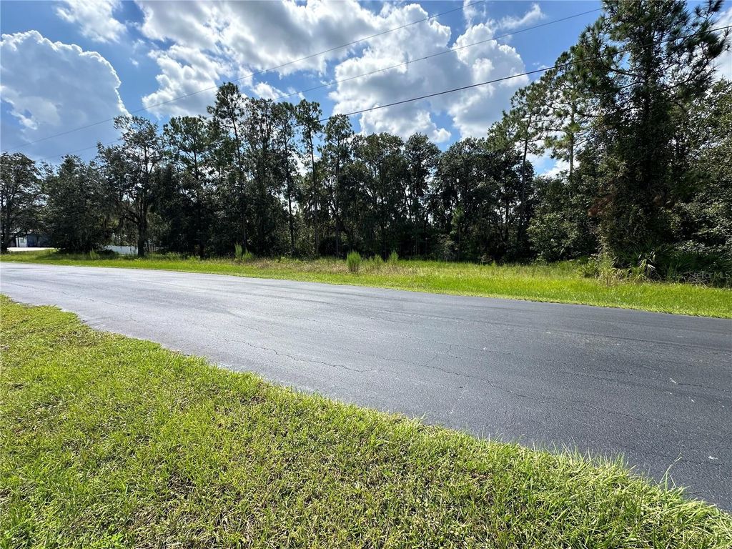 Photo of 8319 Spring Forest Lane, Wesley Chapel, FL 33544 (MLS # TB8305224)