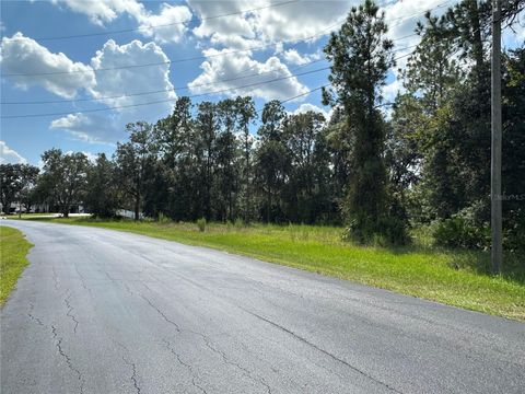Photo of 8319 Spring Forest Lane, Wesley Chapel, FL 33544 (MLS # TB8305224)
