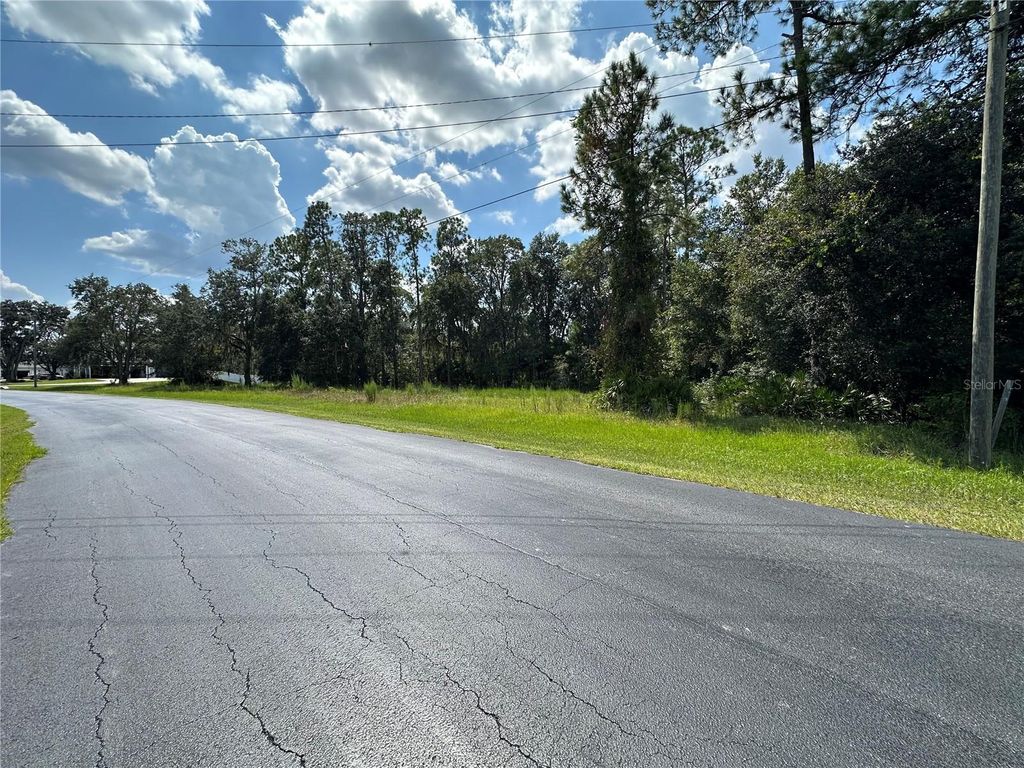 Photo of 8319 Spring Forest Lane, Wesley Chapel, FL 33544 (MLS # TB8305224)