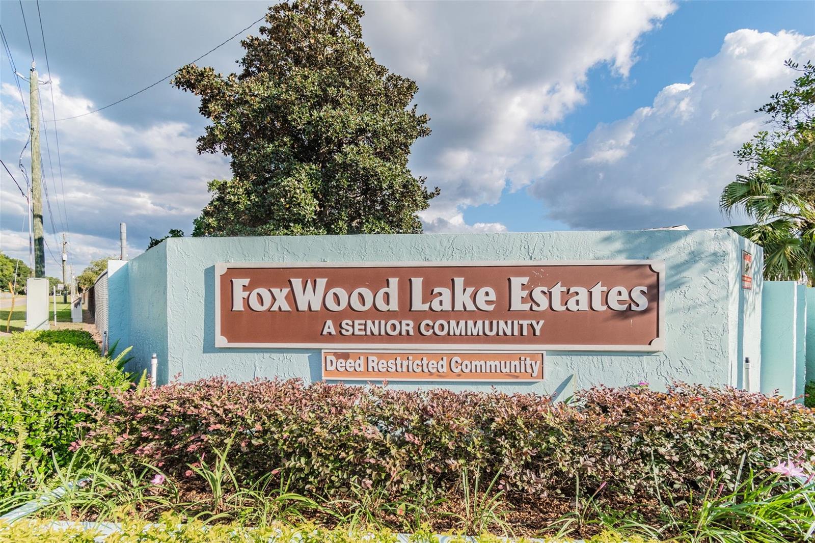 FOXWOOD LAKE ESTATES - Residential
