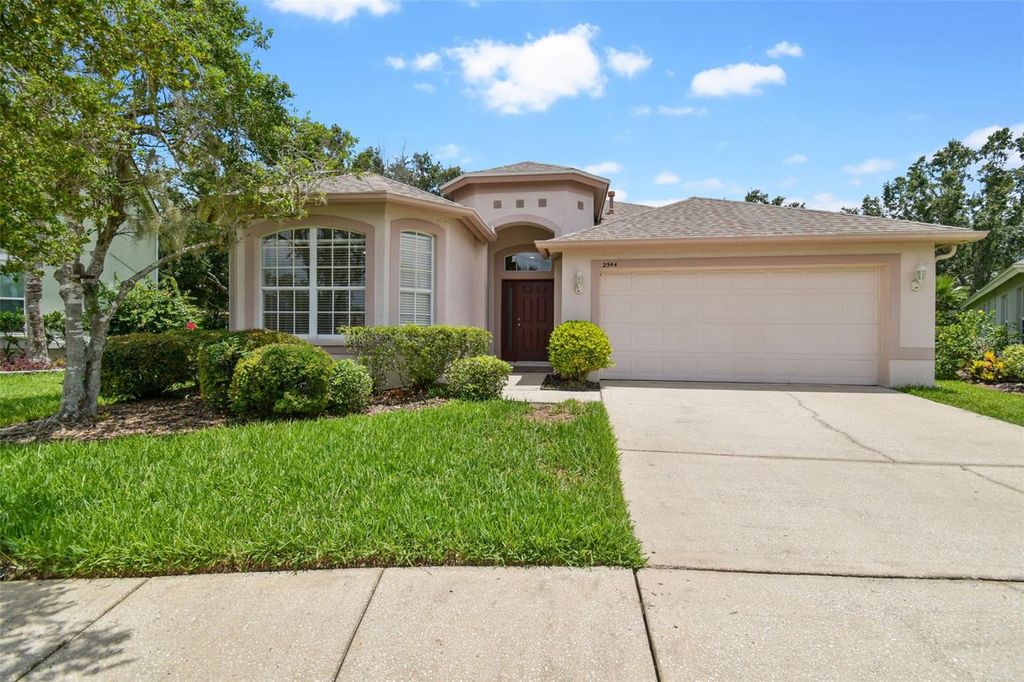 Photo of 2544 Rosehaven Drive, Wesley Chapel, FL 33544 (MLS # TB8400344)