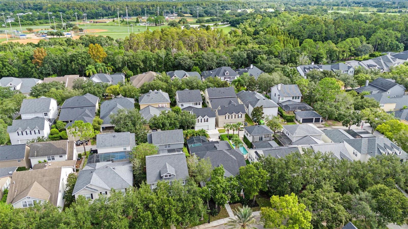 14614 CANOPY DRIVE
