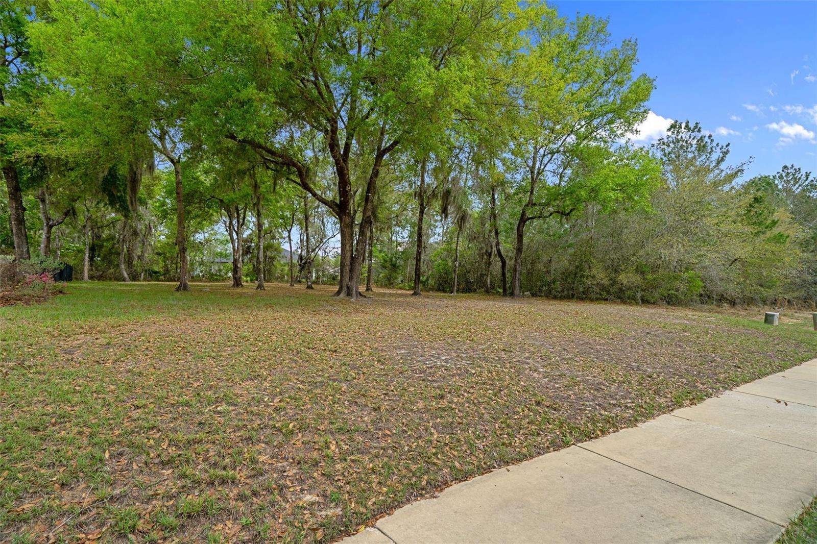 SOUTHERN HILLS PLANTATION PH 3 - Residential