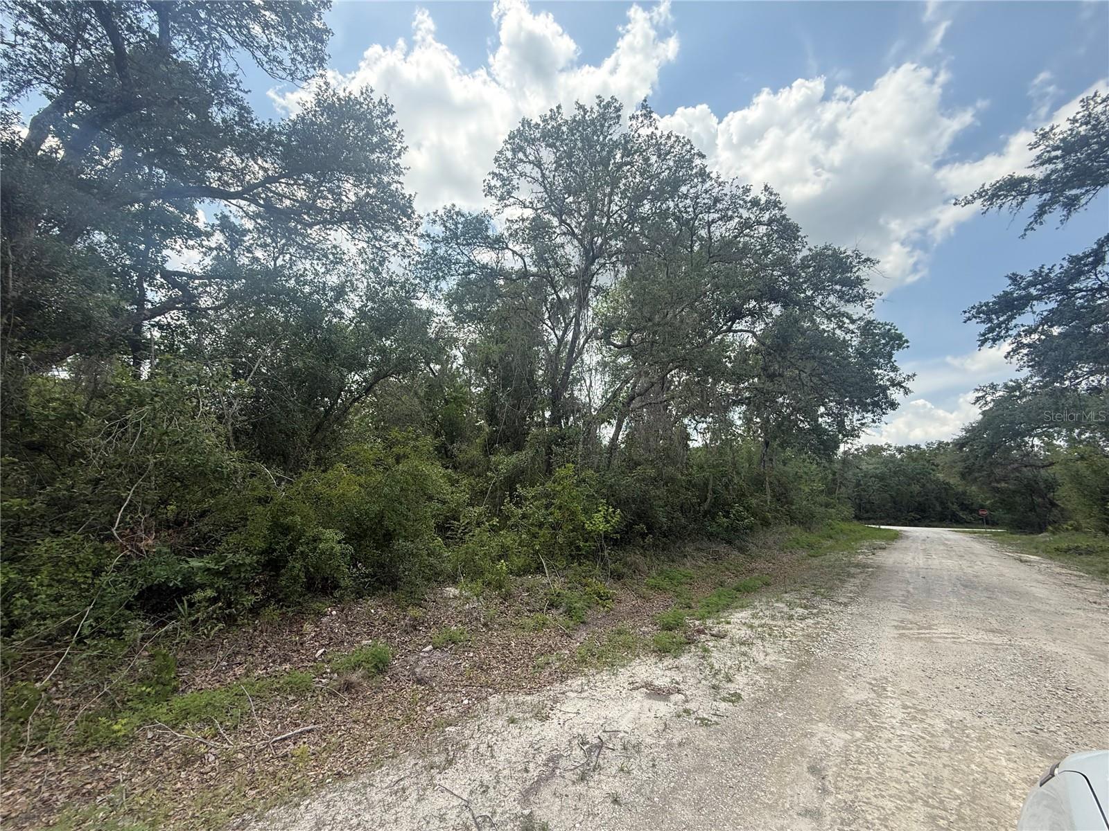 RIDGE MANOR ESTATE - Land