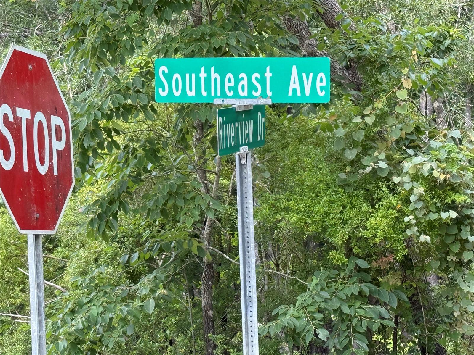 RIDGE MANOR ESTATE - Land