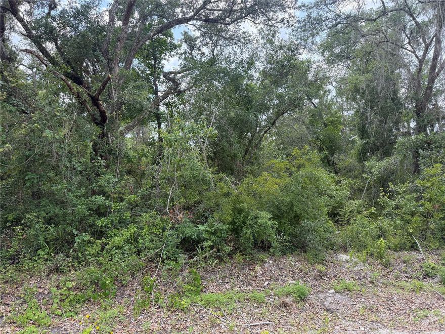 Looking to build your dream home, or simply invest in land? This spacious property sits on 2.15 acres of land, offering privacy and tranquility in a peaceful rural setting. Situated in the highly sought-after area of Ridge Manor,  Enjoy the tranquility of country living while being just a short distance from the conveniences of the city. Parcel #: R36 122 21 0870 0420 0010