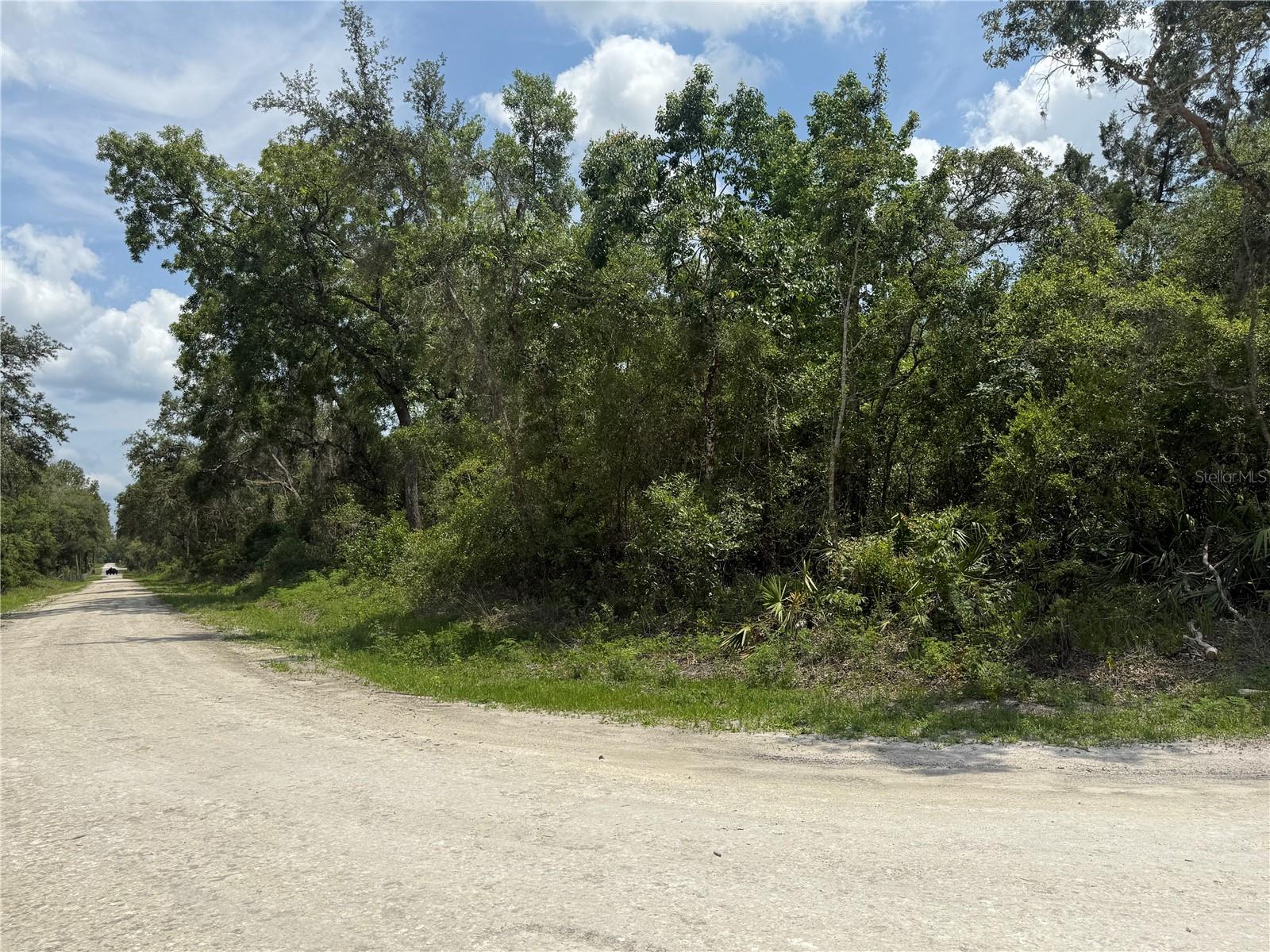 RIDGE MANOR ESTATE - Land