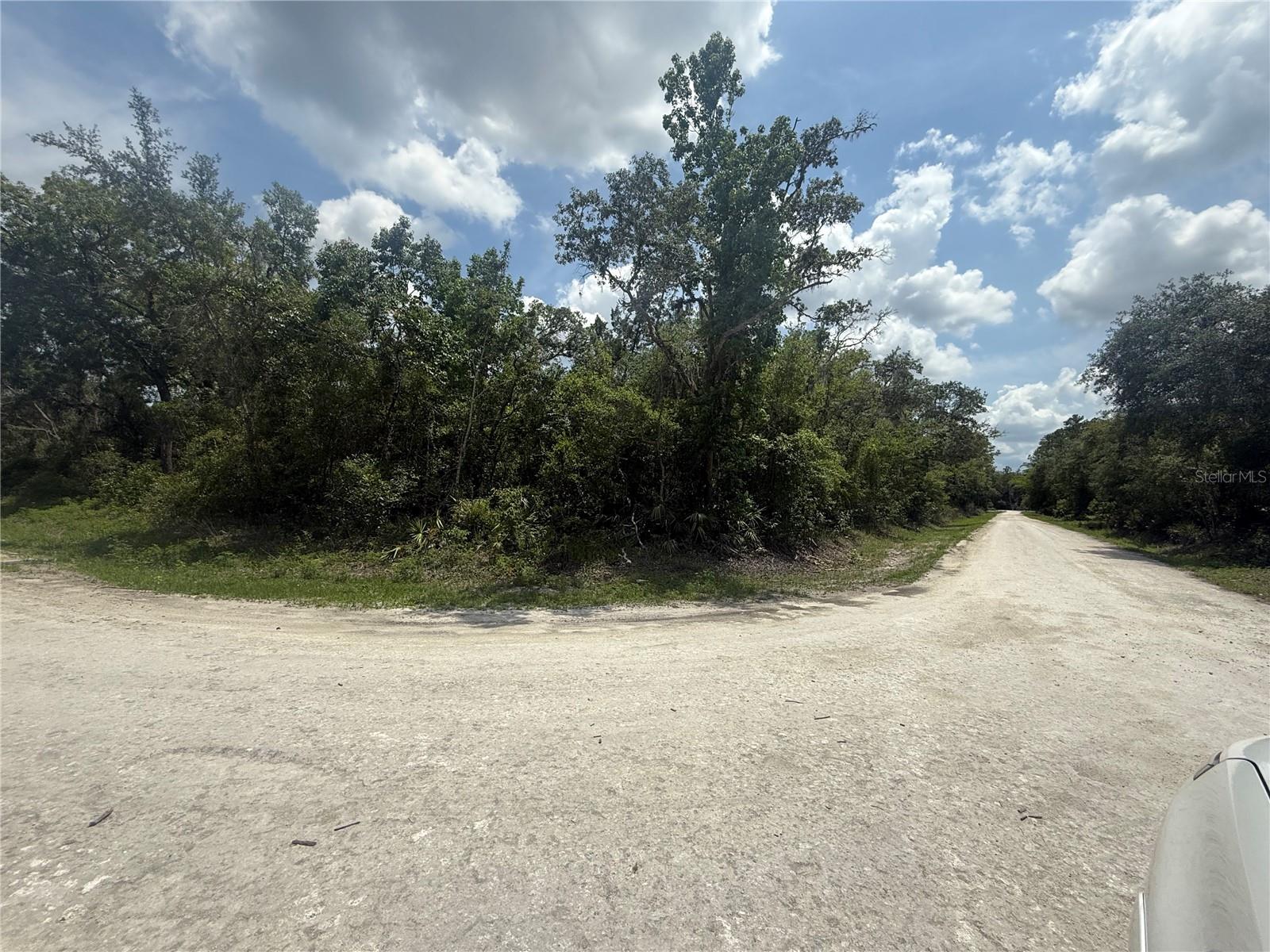 RIDGE MANOR ESTATE - Land