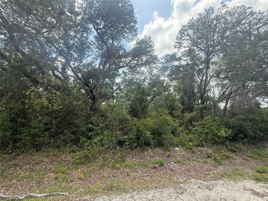 Photo of 7419 Southeast Avenue, Webster, FL 33597 (MLS # O6310501)