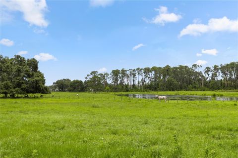 Tiny photo for 11522 Dead River Road, Tavares, FL 32778 (MLS # G5098717)
