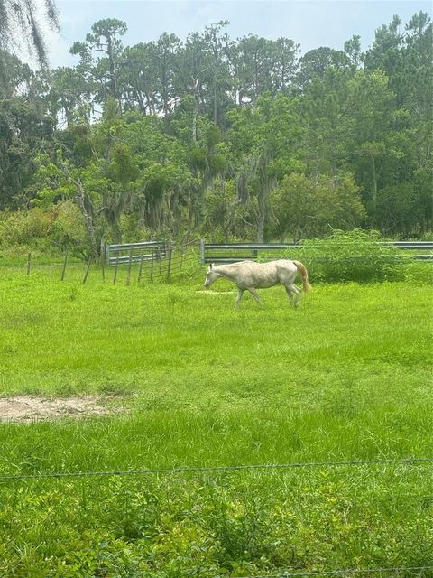 Tiny photo for 11522 Dead River Road, Tavares, FL 32778 (MLS # G5098717)