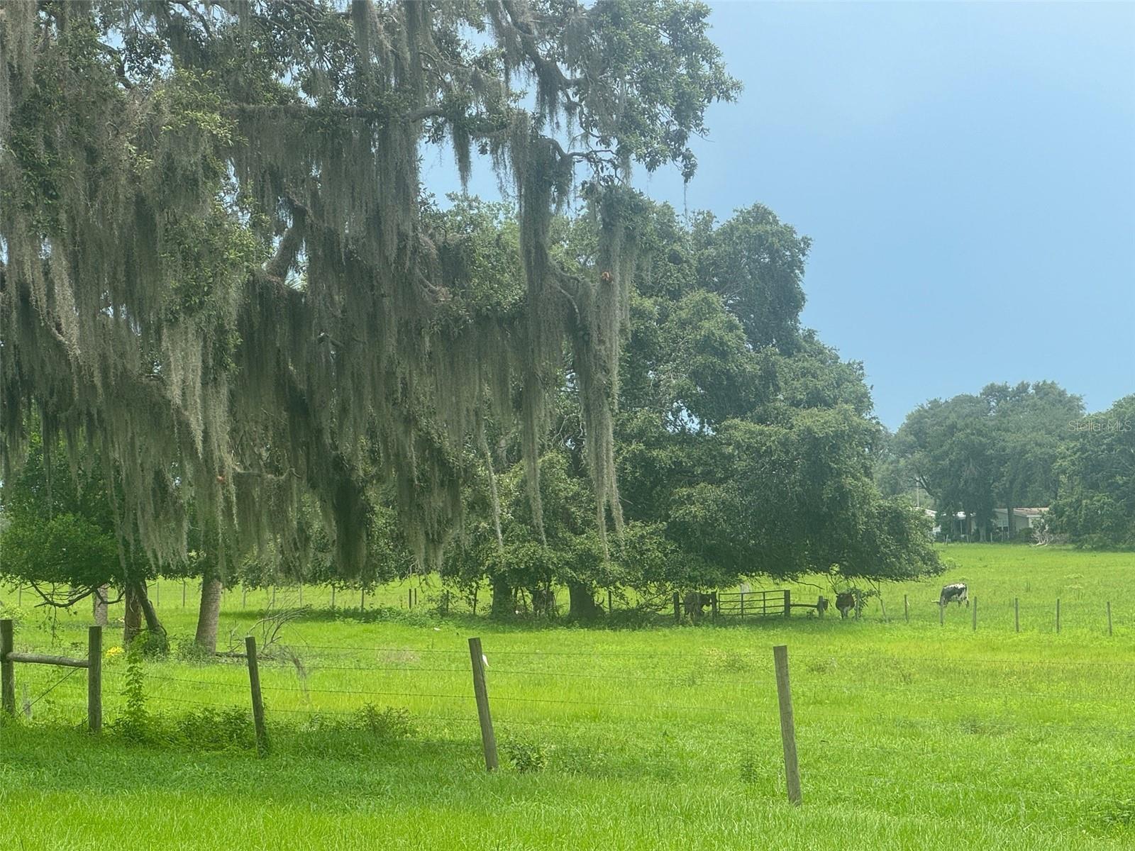 ACREAGE & UNREC - Residential