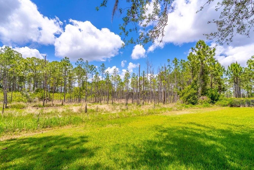 DELTONA LAKES UNIT 59 - Residential