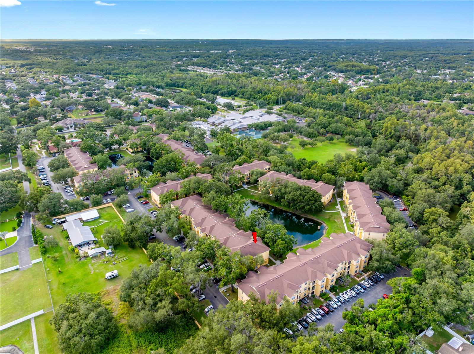 THE PINNACLE AT CARROLLWOOD A CONDOMINIUM - Residential
