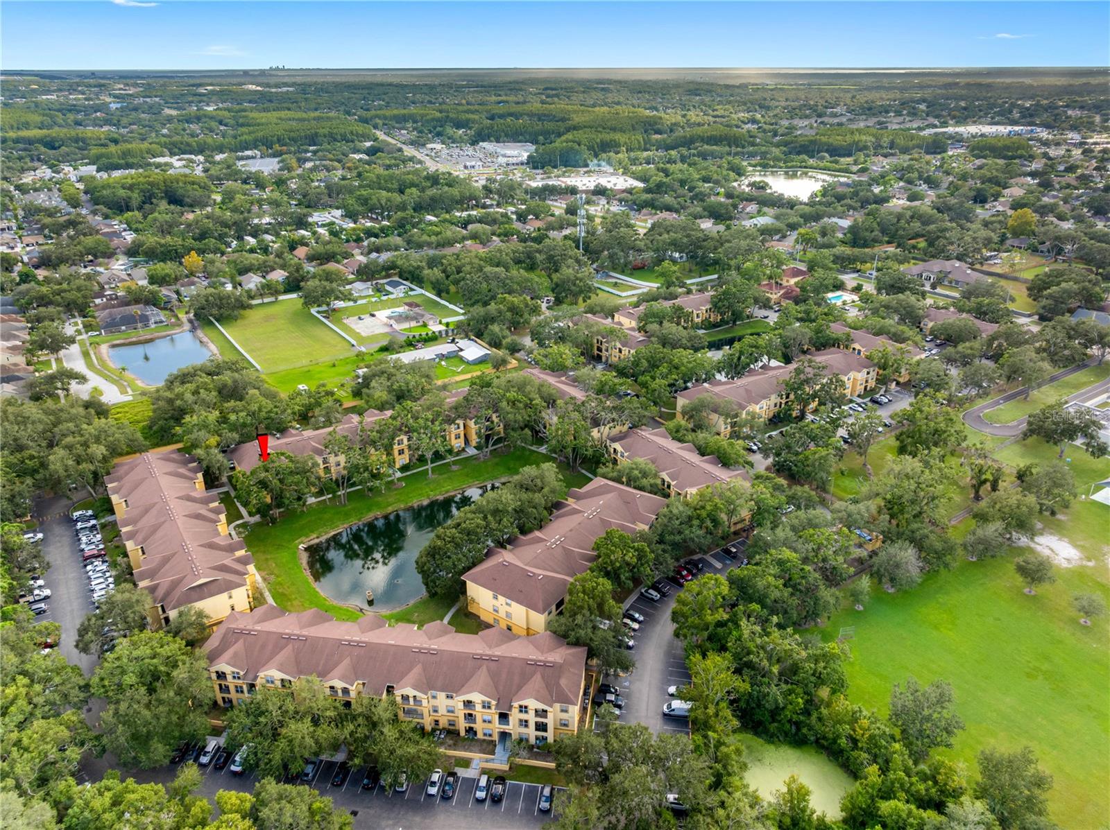 THE PINNACLE AT CARROLLWOOD A CONDOMINIUM - Residential