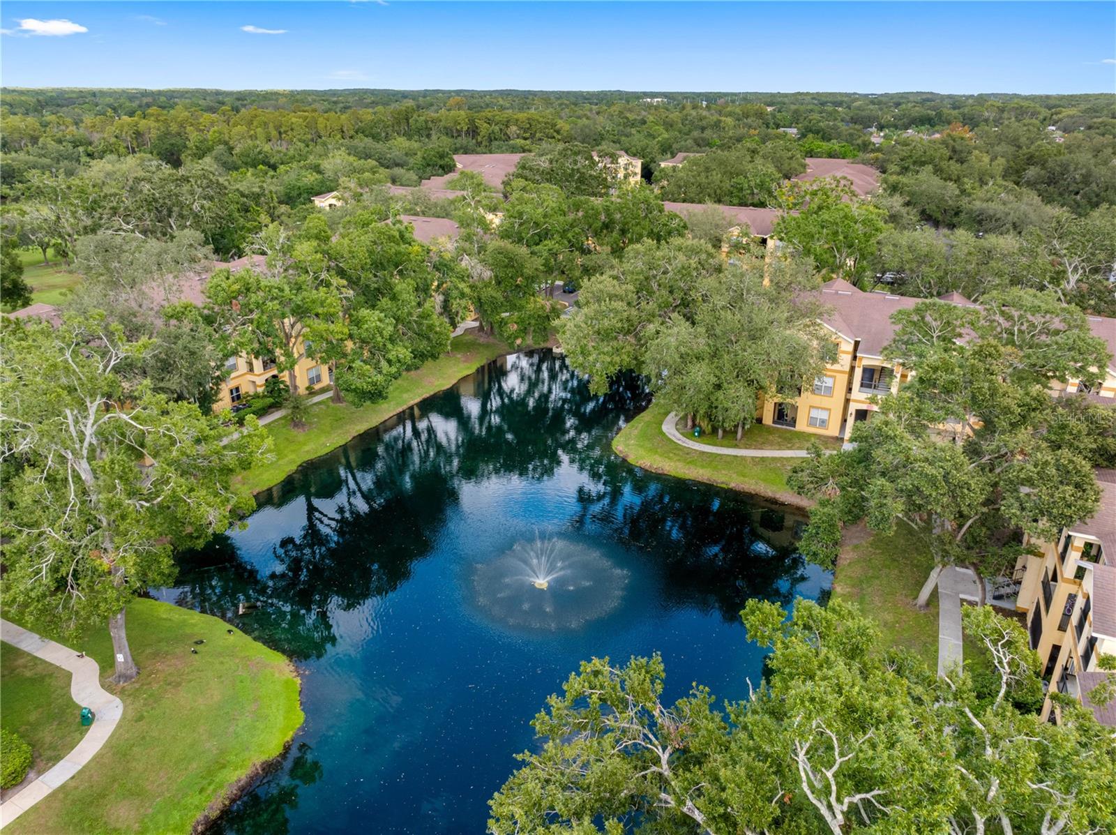 THE PINNACLE AT CARROLLWOOD A CONDOMINIUM - Residential