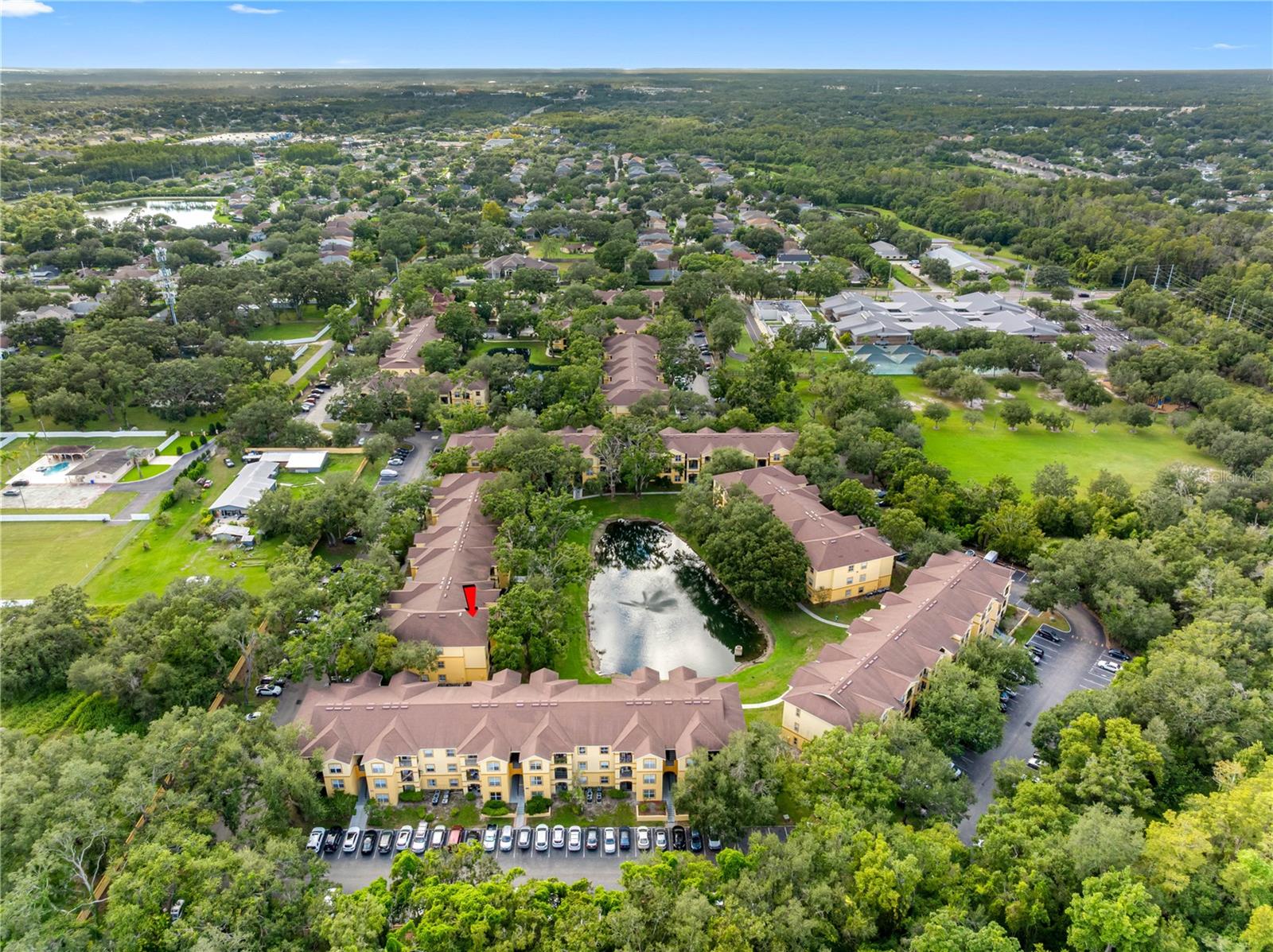 THE PINNACLE AT CARROLLWOOD A CONDOMINIUM - Residential