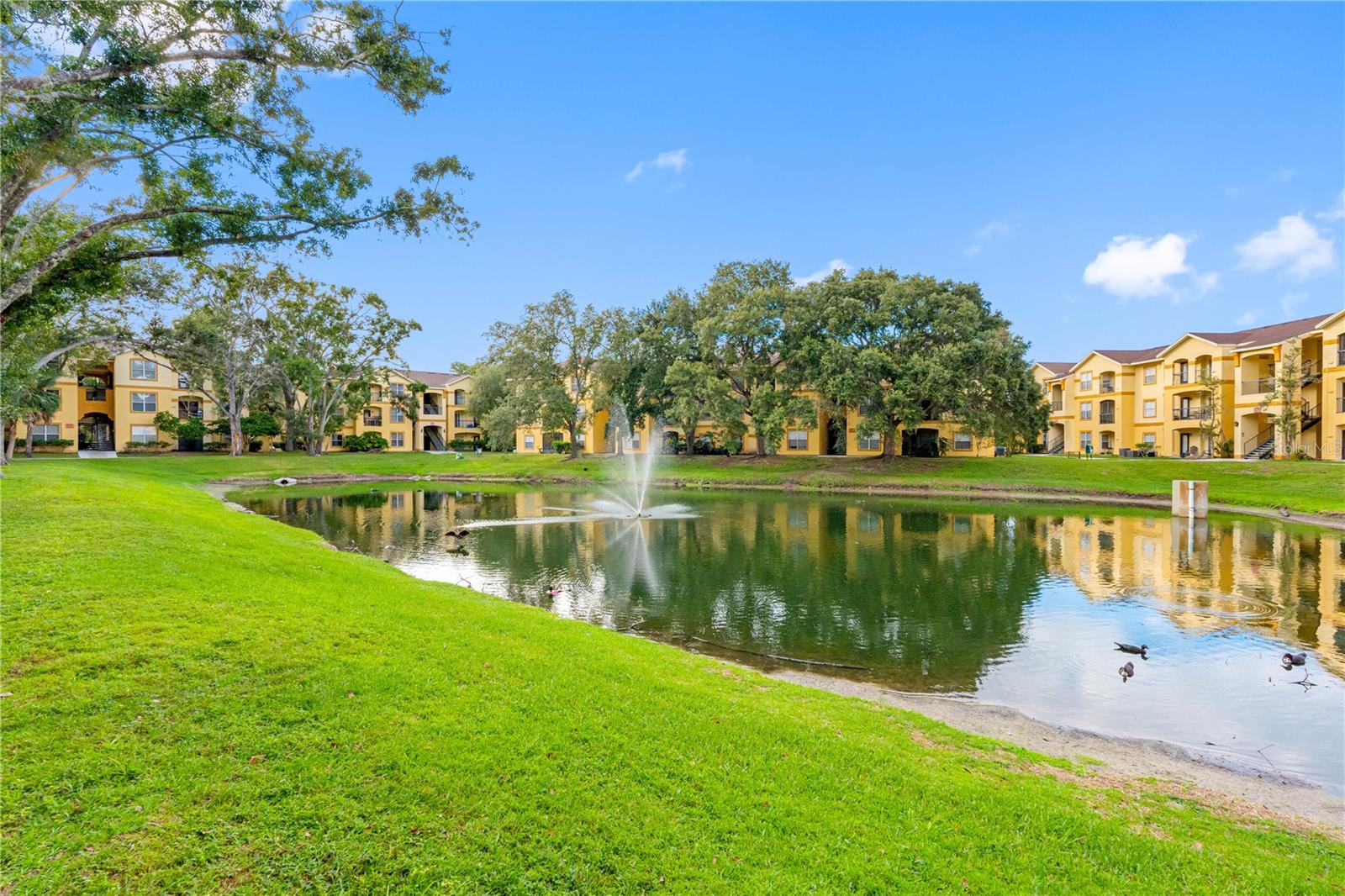 THE PINNACLE AT CARROLLWOOD A CONDOMINIUM - Residential
