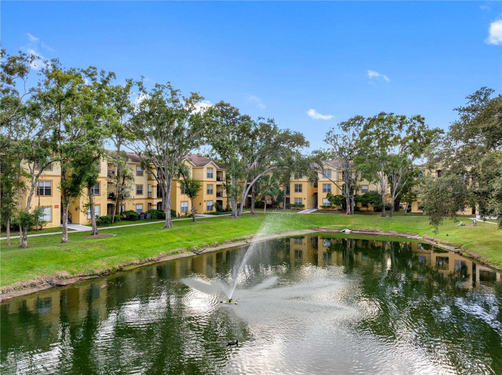 THE PINNACLE AT CARROLLWOOD A CONDOMINIUM - Residential