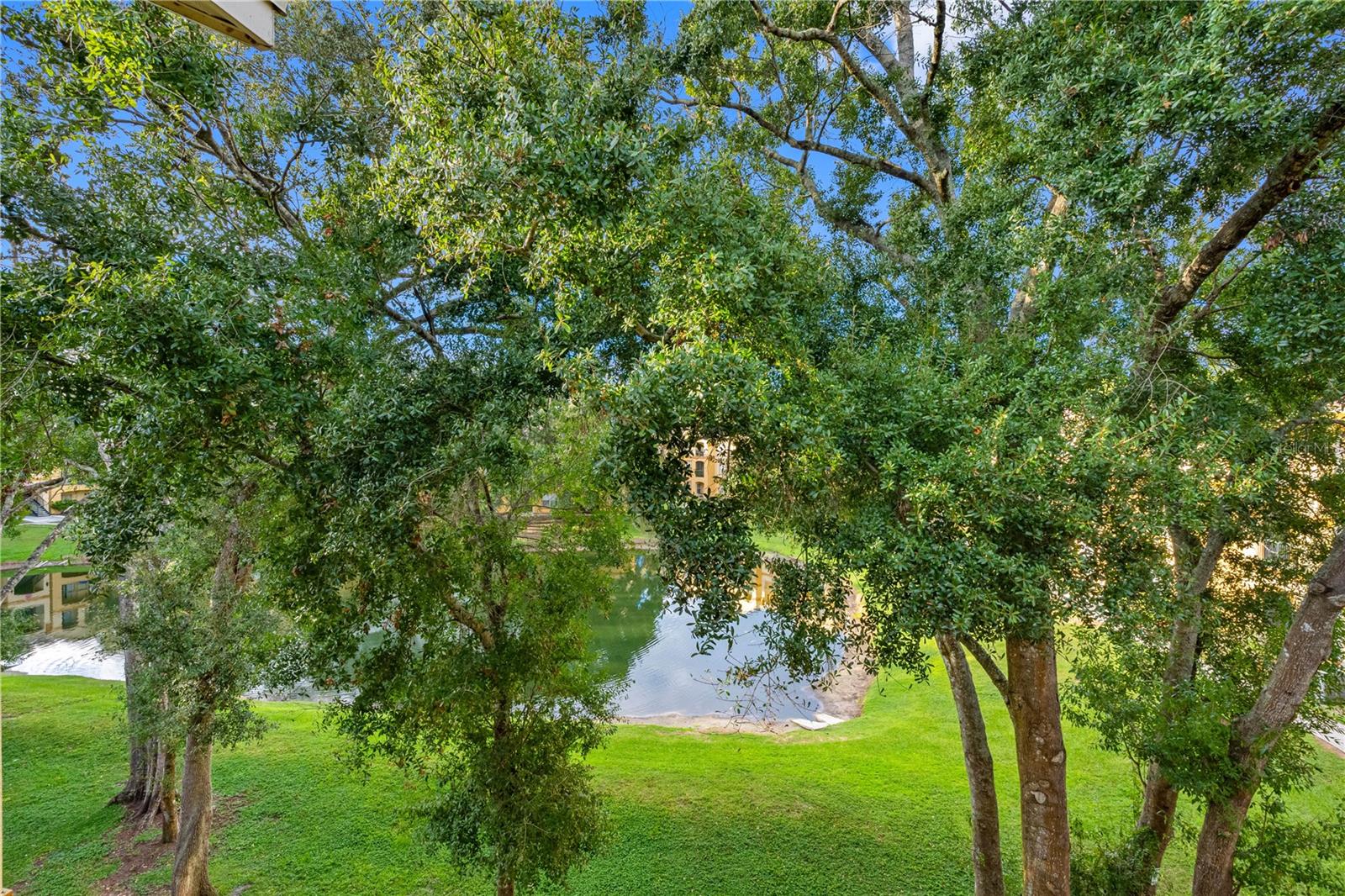 THE PINNACLE AT CARROLLWOOD A CONDOMINIUM - Residential