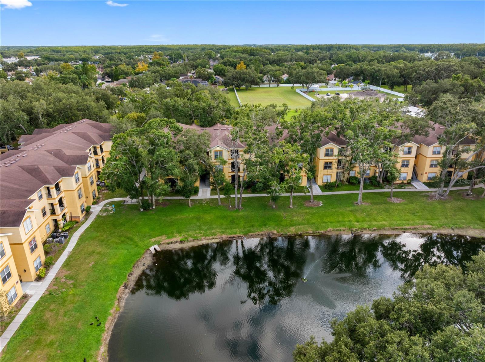 THE PINNACLE AT CARROLLWOOD A CONDOMINIUM - Residential
