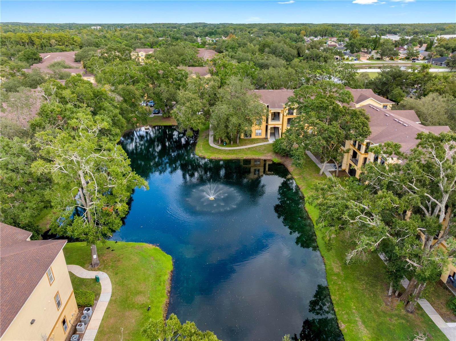 THE PINNACLE AT CARROLLWOOD A CONDOMINIUM - Residential