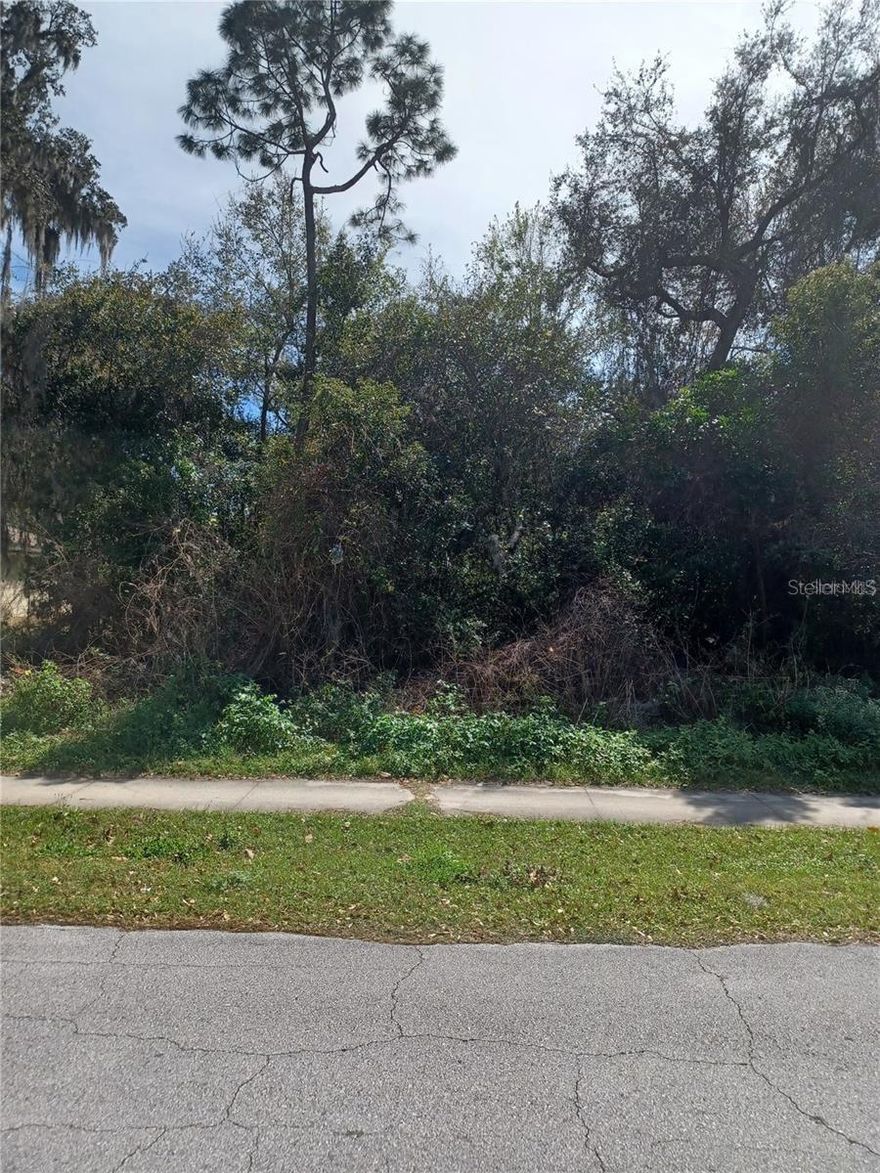 Build your dream home or next investment on this 0.26-acre residential lot in DeLand, FL — one of the very few currently available lots on a PAVED STREET in the community. Surrounded by newer construction, this lot offers ample space for a custom home, outdoor living, or future upgrades. Enjoy NO HOA and the convenience of Flood Zone X (no flood insurance required). Ideally located near shopping, dining, and major roadways, with Daytona Beach just a short drive away. Whether you’re a homeowner, investor, or builder, opportunities like this are becoming increasingly rare in established neighborhoods.