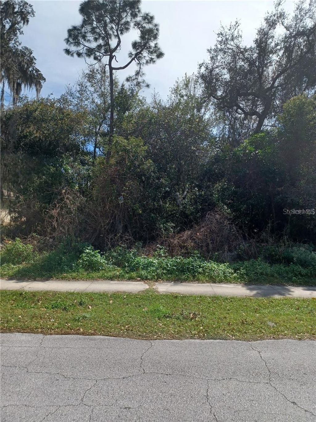 Photo of 1723 2nd Avenue, Deland, FL 32724 (MLS # O6381595)
