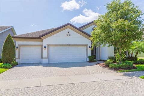 6331 VOYAGERS PLACE APOLLO BEACH FL 33572