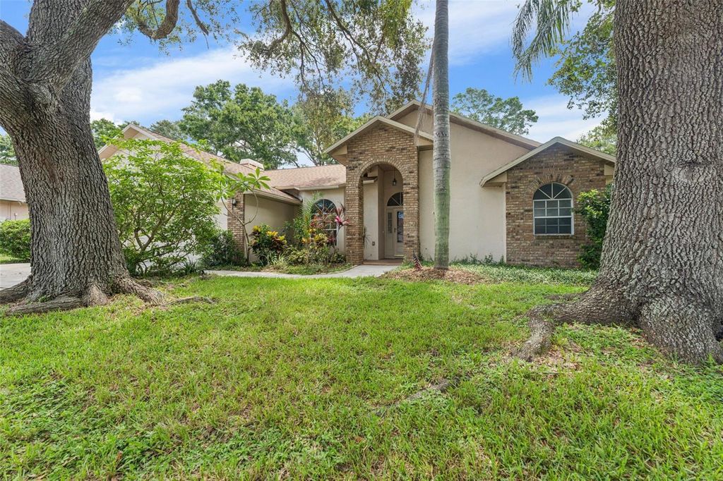 Photo of 3001 Folklore Drive, Valrico, FL 33596 (MLS # TB8381862)