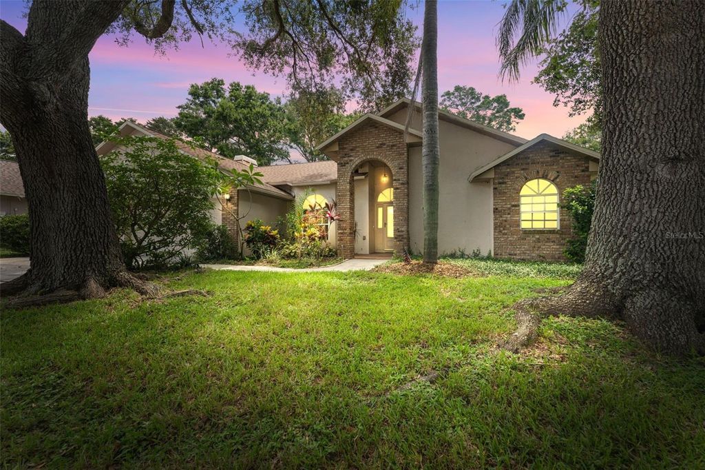 Photo of 3001 Folklore Drive, Valrico, FL 33596 (MLS # TB8381862)