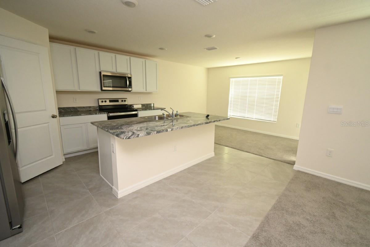 SUWANNEE LAKESIDE PH 2 & 3 - Residential