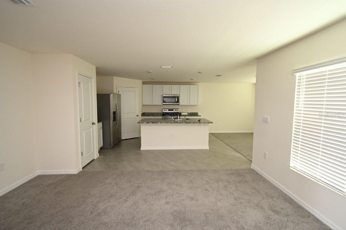 SUWANNEE LAKESIDE PH 2 & 3 - Residential