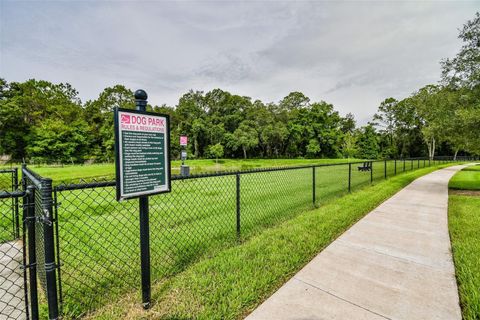 A home in ZEPHYRHILLS